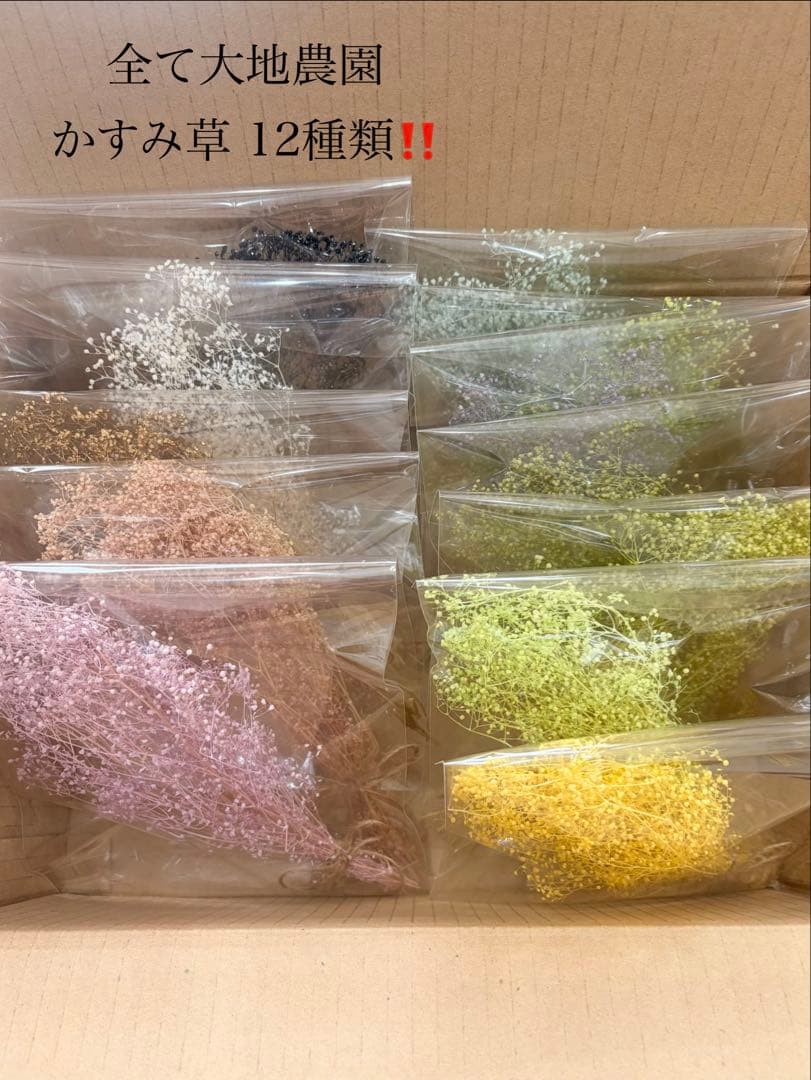 大地農園〜他花材、アレンジ雑貨まとめ売り☆赤字覚悟の出品です‼️ギリギリ値下げ