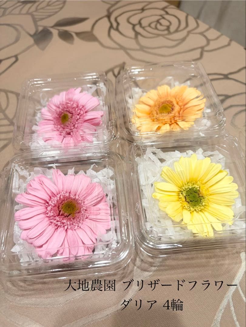 大地農園〜他花材、アレンジ雑貨まとめ売り☆赤字覚悟の出品です‼️ギリギリ値下げ