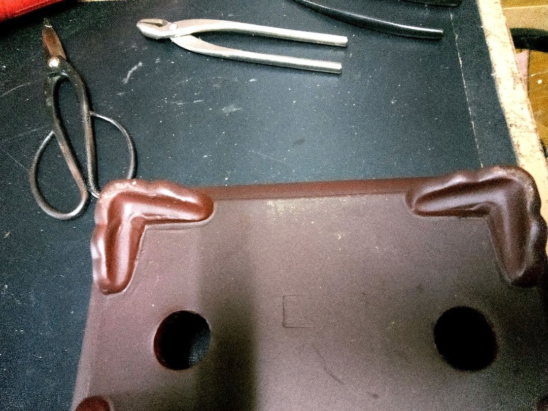 【中品　糸魚川真柏盆栽】　　　　　　⭕将来有望❗最終価格❗