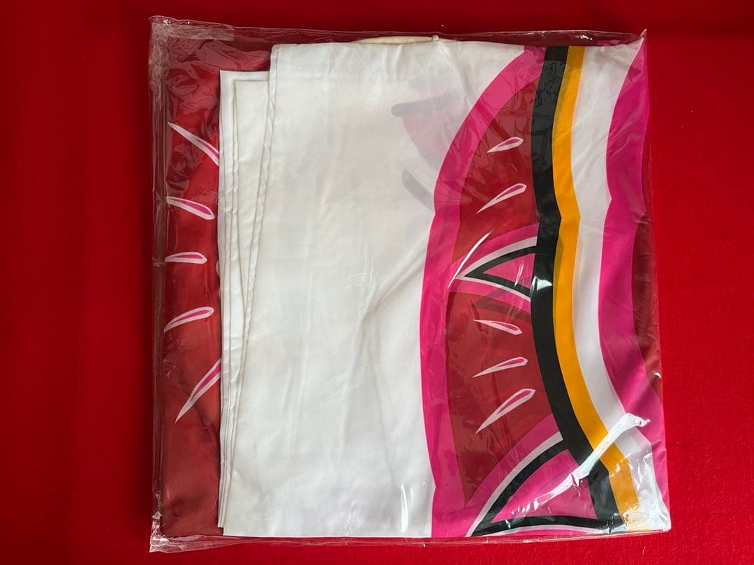 鯉のぼり　6m赤鯉