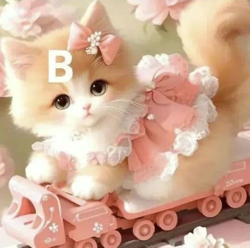 ねこ◎様♥️オーダーページ③　フラットポーチ等ハンドメイド　おもちゃに乗った猫