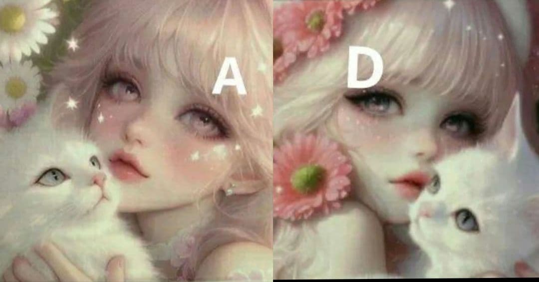 ねこ◎様♥️オーダーページ③　フラットポーチ等ハンドメイド　おもちゃに乗った猫