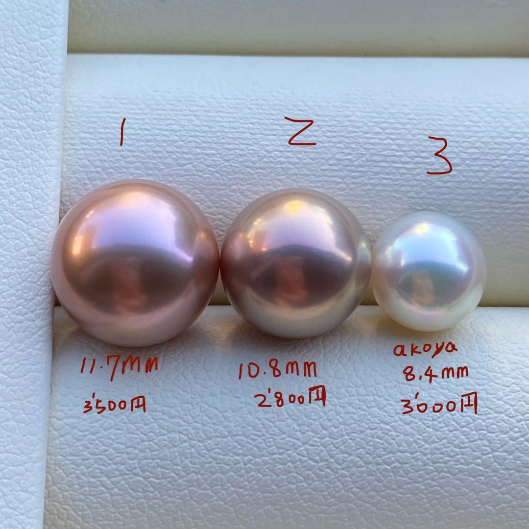 こたつねこ様　ご確認専用ページ251226