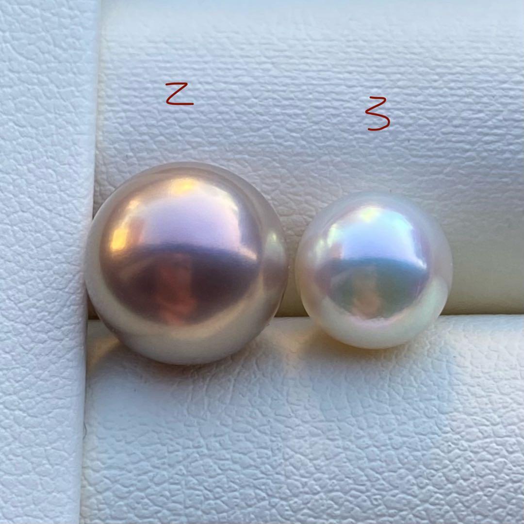 こたつねこ様　ご確認専用ページ251226