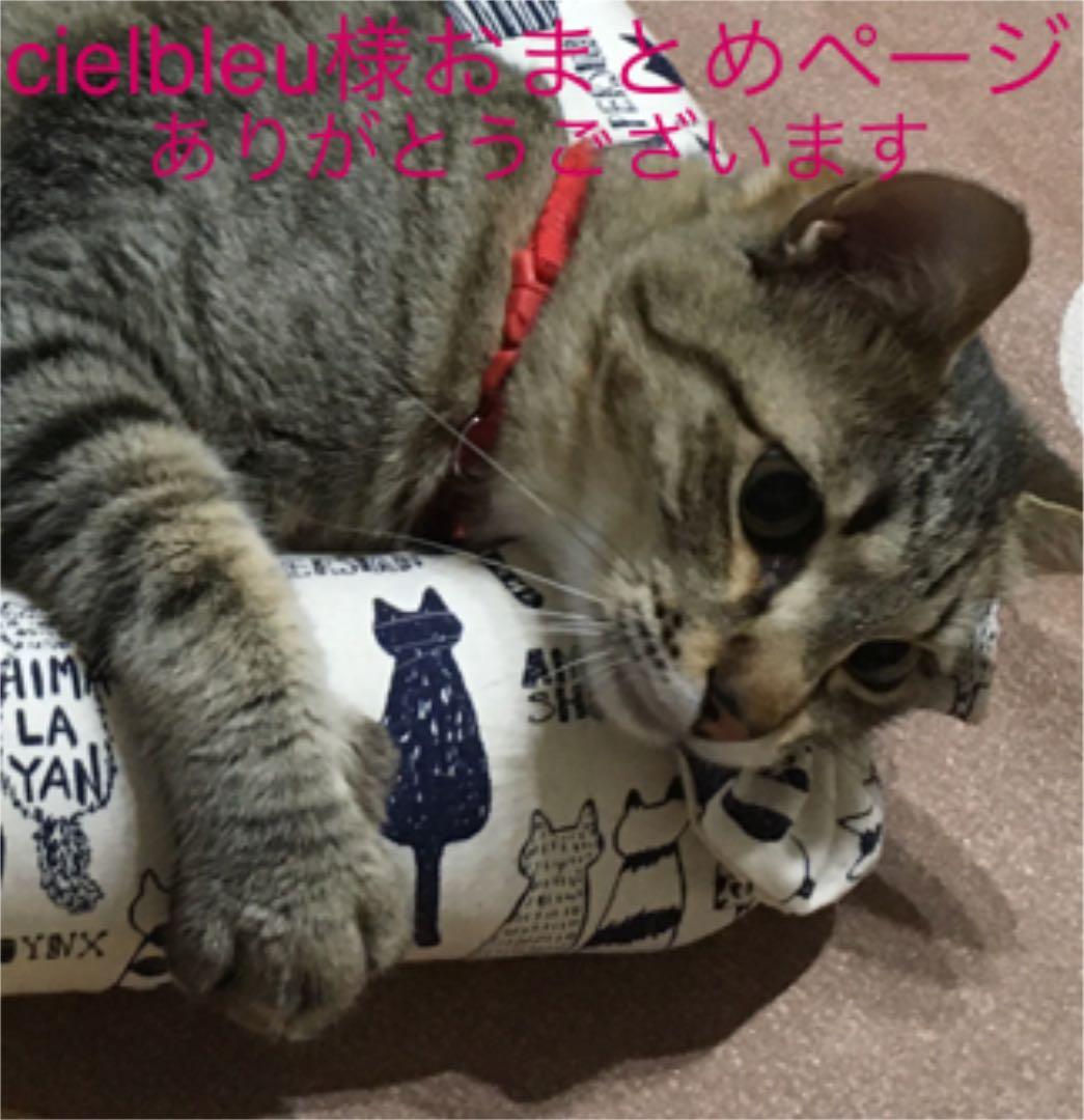 cielbleu様お取置き