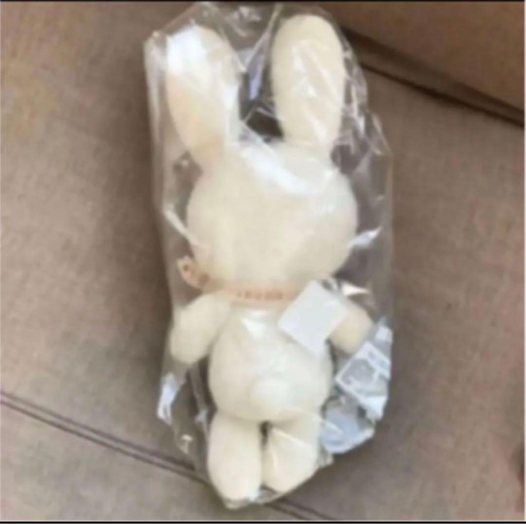 羊毛 フェルト＊BIGうさぎさん