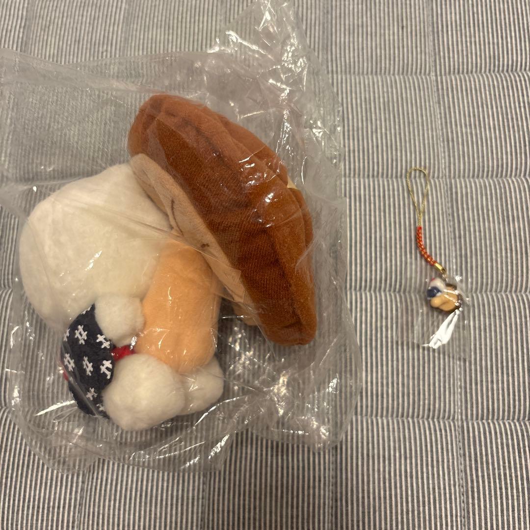 ご当地キティ　大分　しいたけ　ぬいぐるみ　キーホルダー　まとめ売り