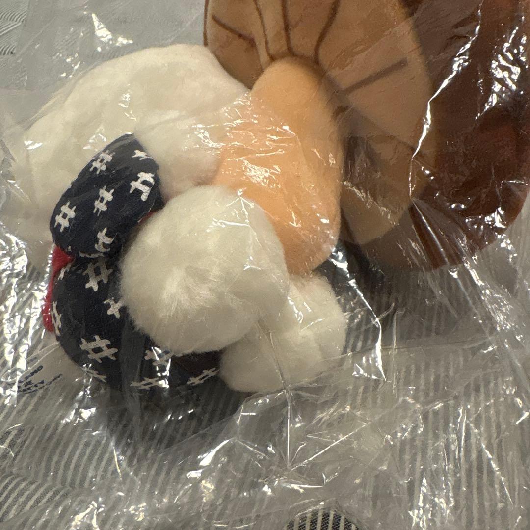 ご当地キティ　大分　しいたけ　ぬいぐるみ　キーホルダー　まとめ売り