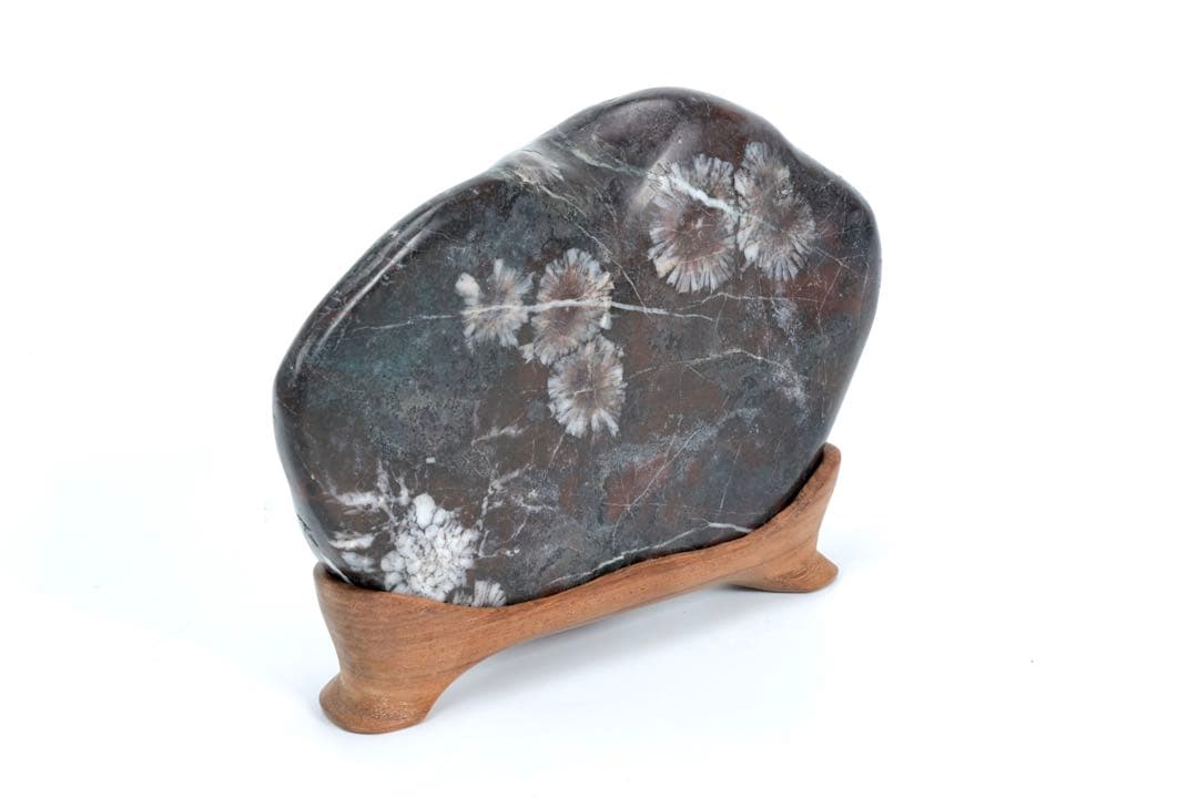 菊花石 紋石 鑑賞石 1.5kg 台座付 天然石 原石 水石 盆石 飾石 古美術