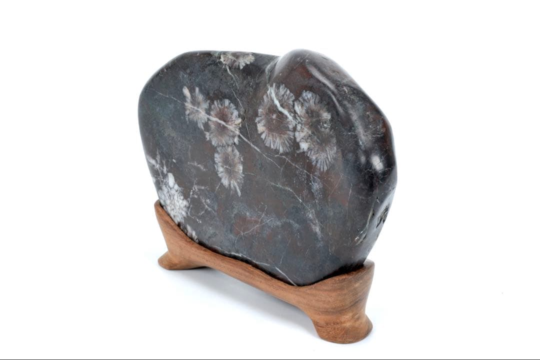 菊花石 紋石 鑑賞石 1.5kg 台座付 天然石 原石 水石 盆石 飾石 古美術