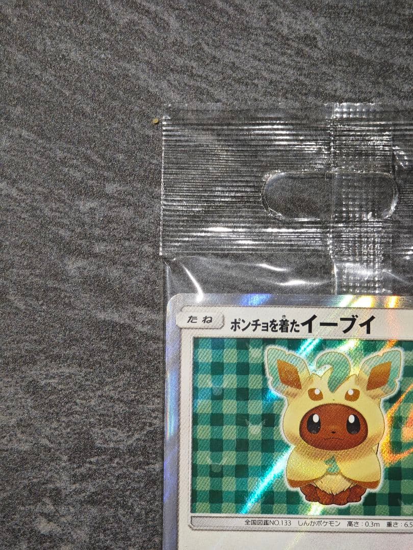 ポンチョを着たイーブイ: [SM-P 142](プロモーションカード「SM-P」