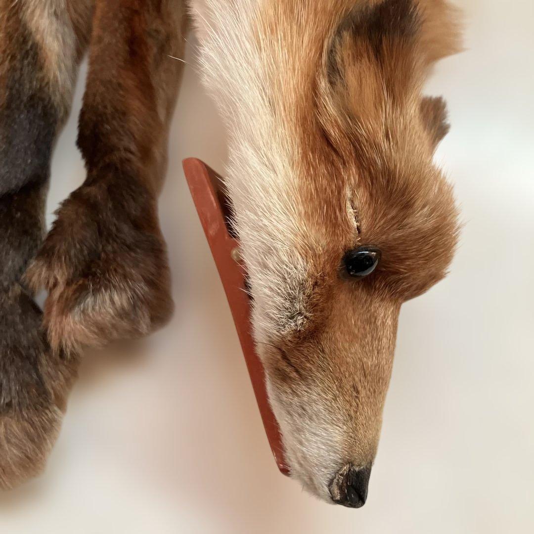 キツネの剥製 マフラー - メルカリ