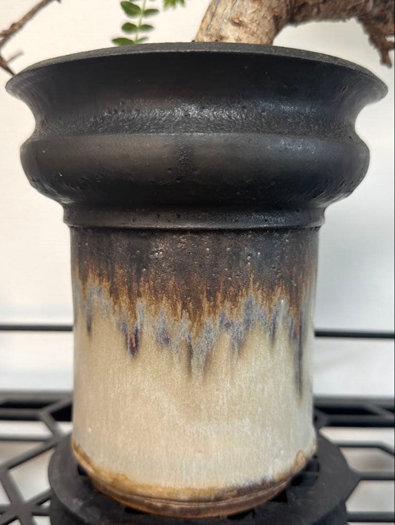 ネグレクタ　カタチ製作所　Mederu pot トーチ Mサイズ