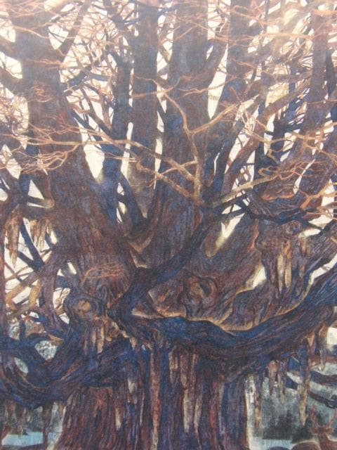 角田信四郎、【樹】、希少な額装用画集画、新品高級額 額装付、状態良好