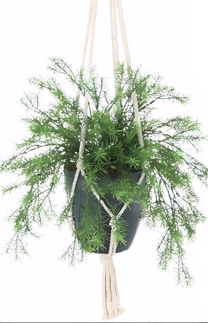 光触媒　人工観葉植物　ウォールグリーン　フェイクグリーン　壁掛けスプレンゲリー