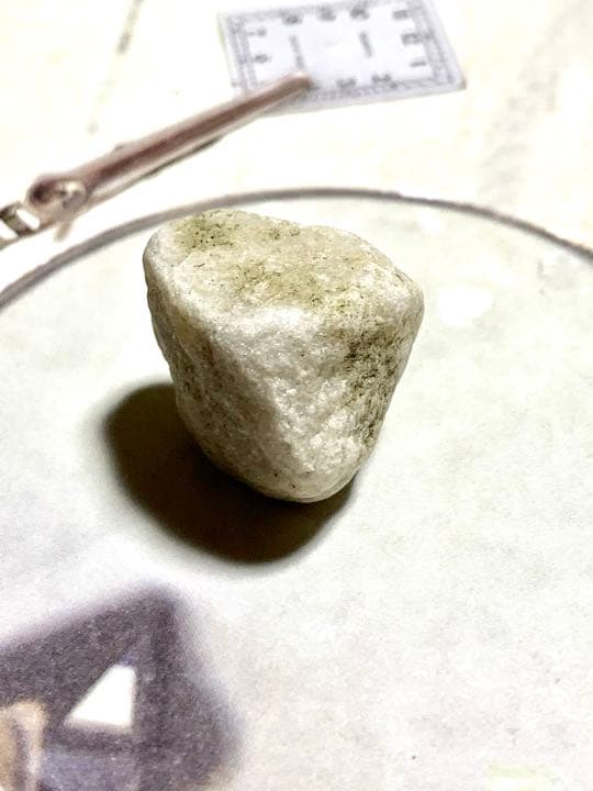 新種　No.15 ブルーアクトゥリアンシーライト