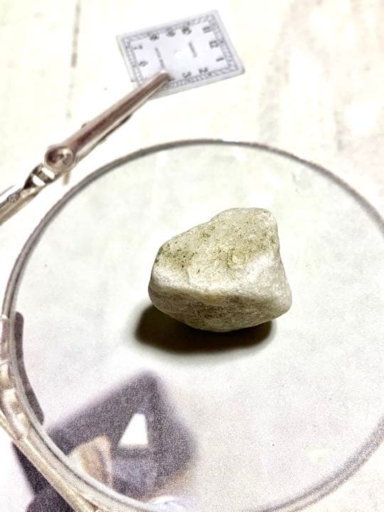 新種　No.15 ブルーアクトゥリアンシーライト