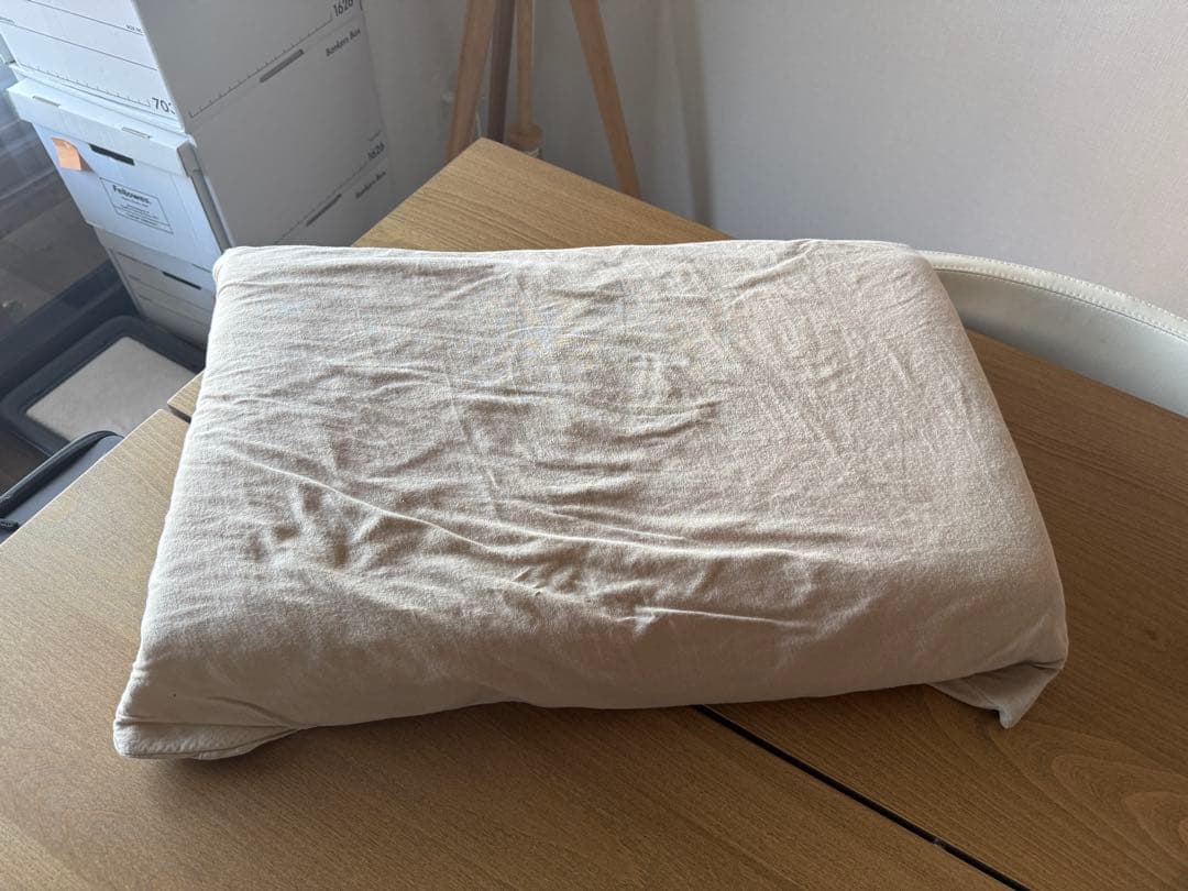 BRAINSLEEP 枕 standard カバー付き