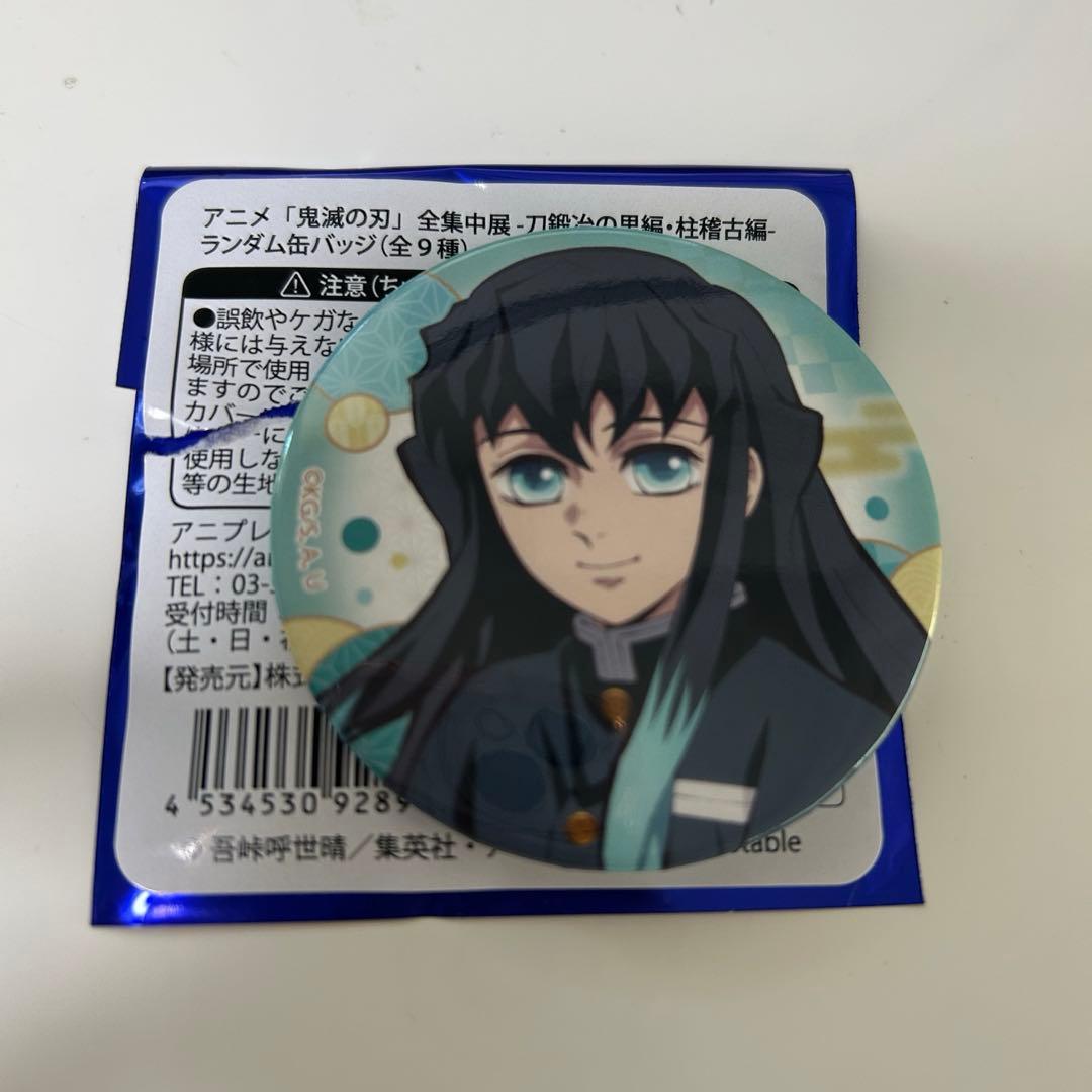 鬼滅の刃 全集中展 刀鍛冶の里編 柱稽古編 缶バッジ 時透無一郎 - メルカリ