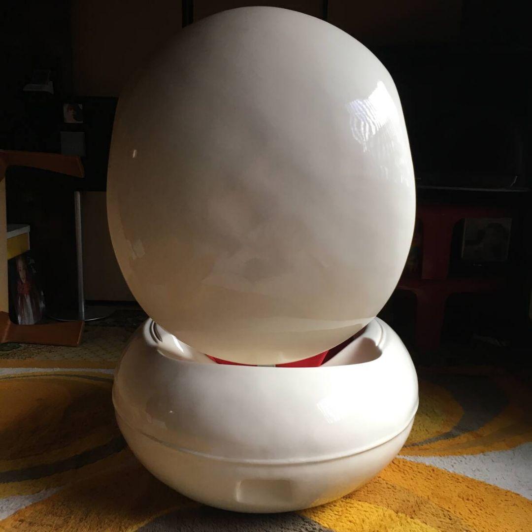 スペースエイジ Peter Ghyczy ガーデンエッグチェア ミッドセンチュリ