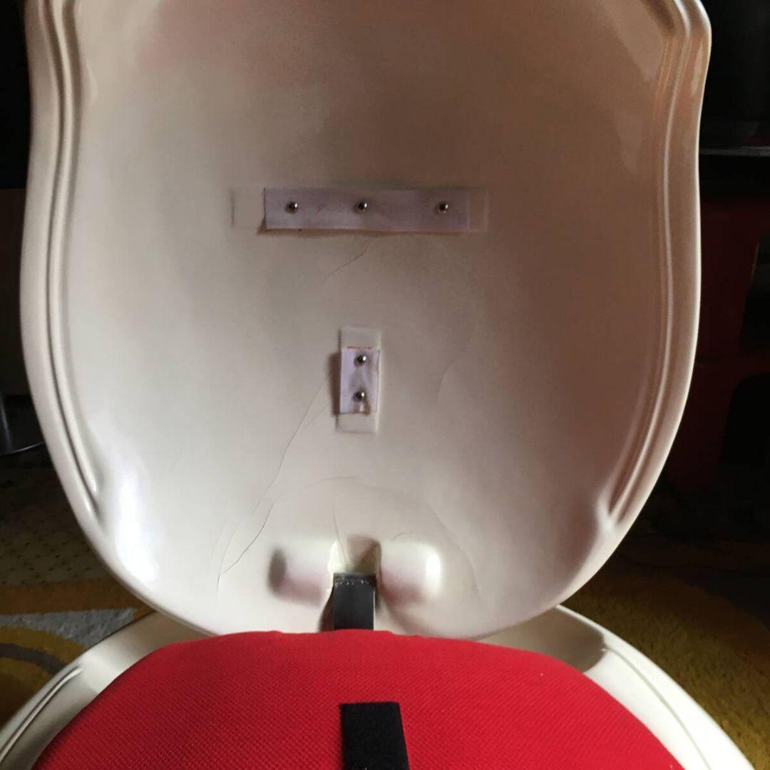 スペースエイジ Peter Ghyczy ガーデンエッグチェア ミッドセンチュリ