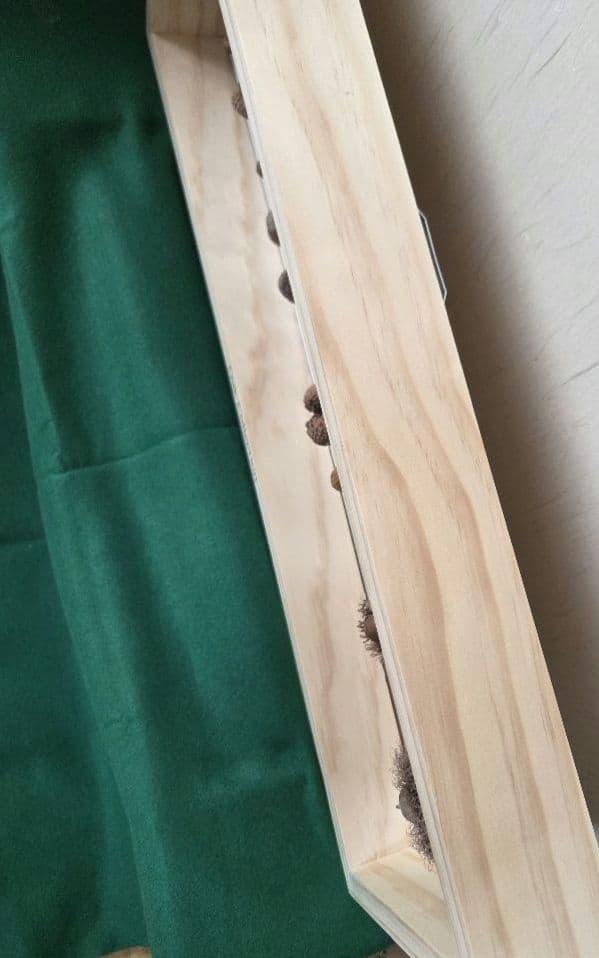 23種】どんぐり 標本 （OakCollection） フレーム インテリア - メルカリ