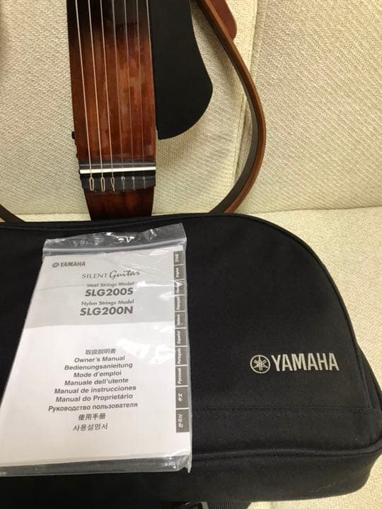 猪*蝶様 Gibson Blue Ridge 1960年後半