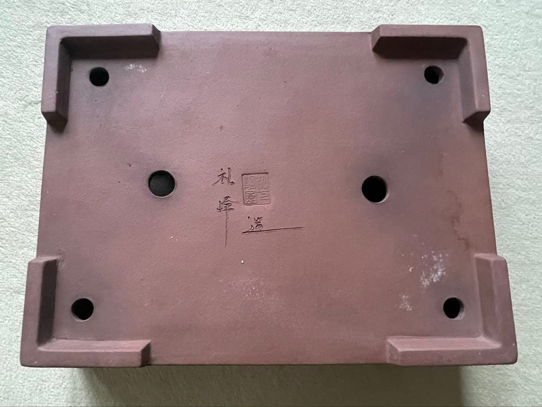 礼峰　盆栽　鉢　48.5cm　長方鉢　大型