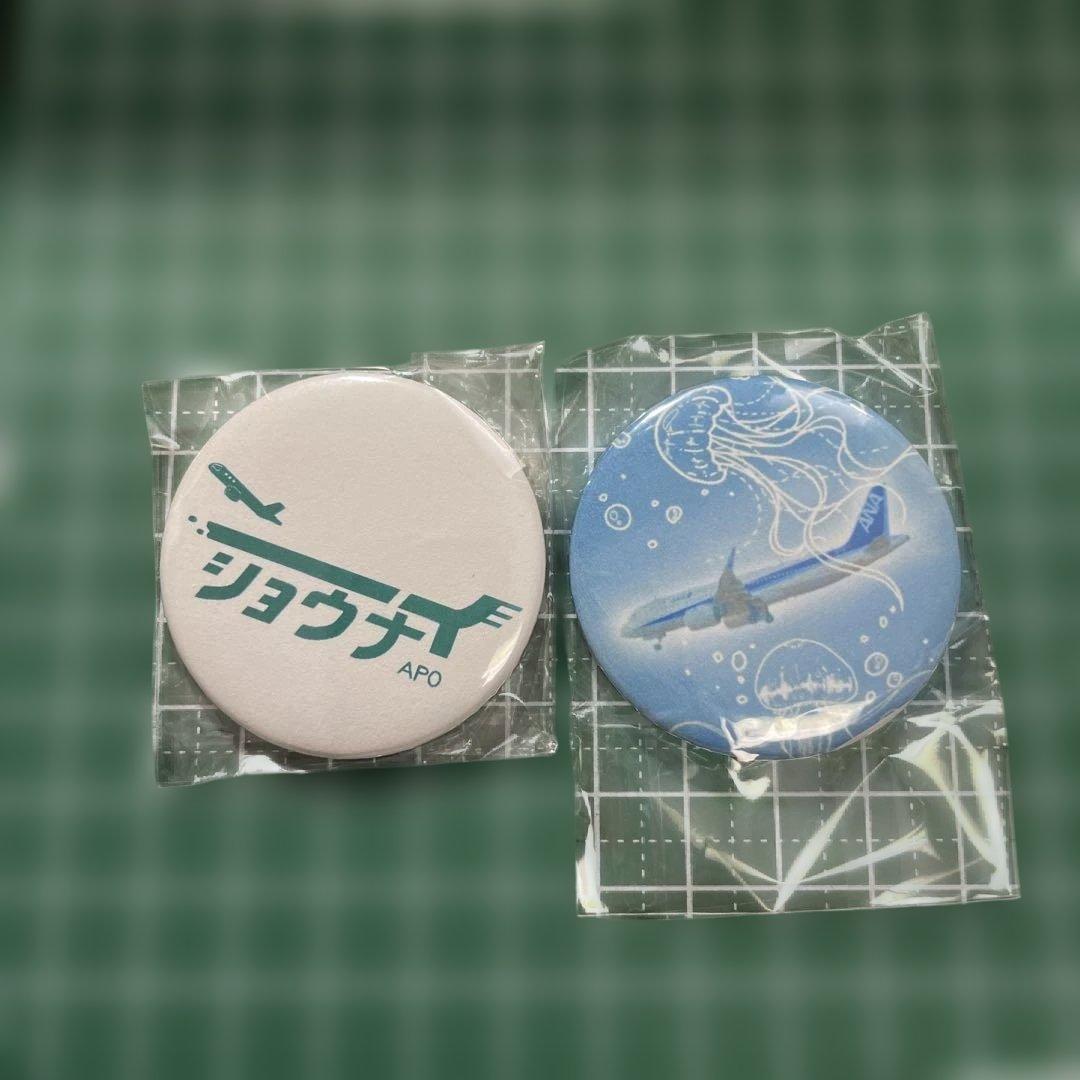 ANA庄内空港飛行機の缶バッジ 2個セット - メルカリ