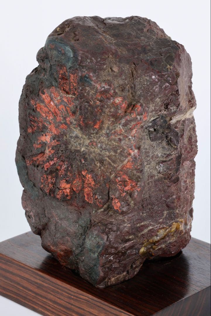 菊花石 赤花 大輪 台座付 5.2kg 原石 天然石 鑑賞石 水石 盆石 紋石