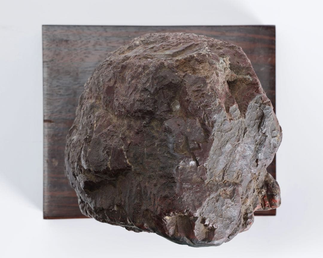 菊花石 赤花 大輪 台座付 5.2kg 原石 天然石 鑑賞石 水石 盆石 紋石