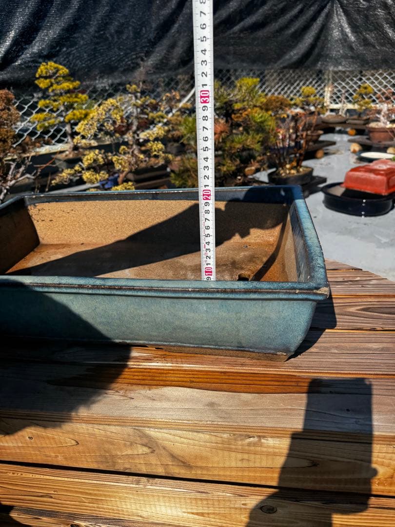 青色 陶器製 盆栽用鉢 22号