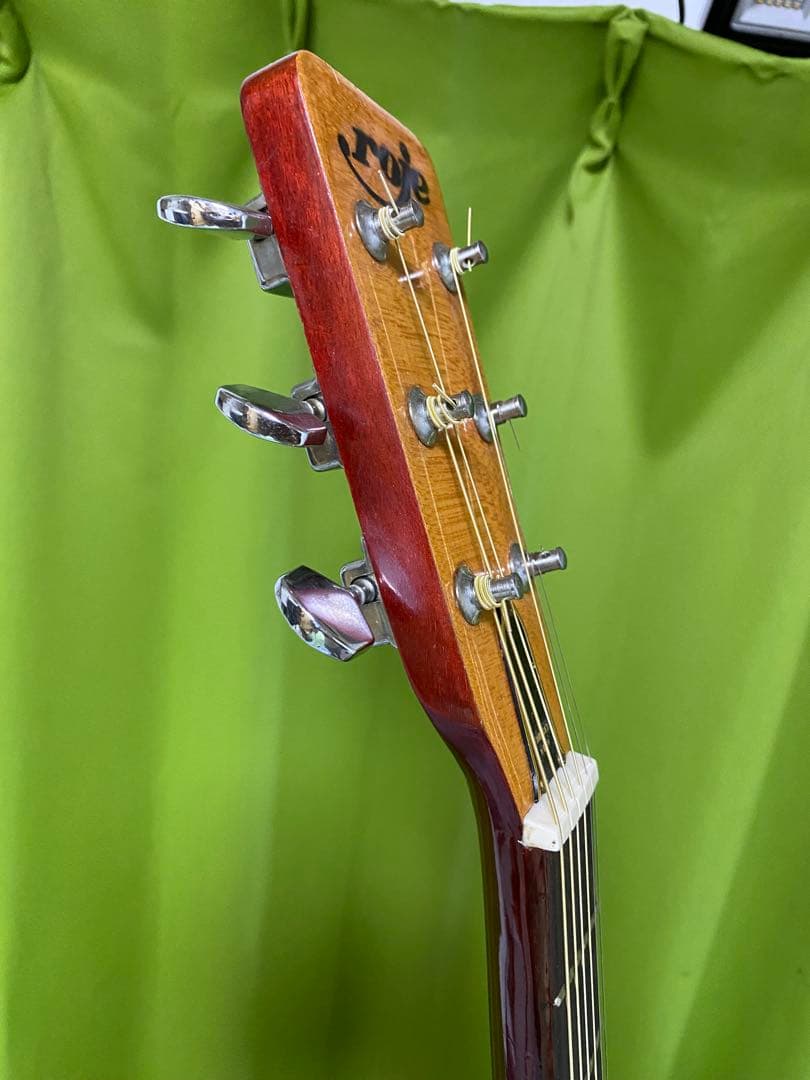 新春特価　ZenOn Roje ハミングバード　エレアコ 音出良好