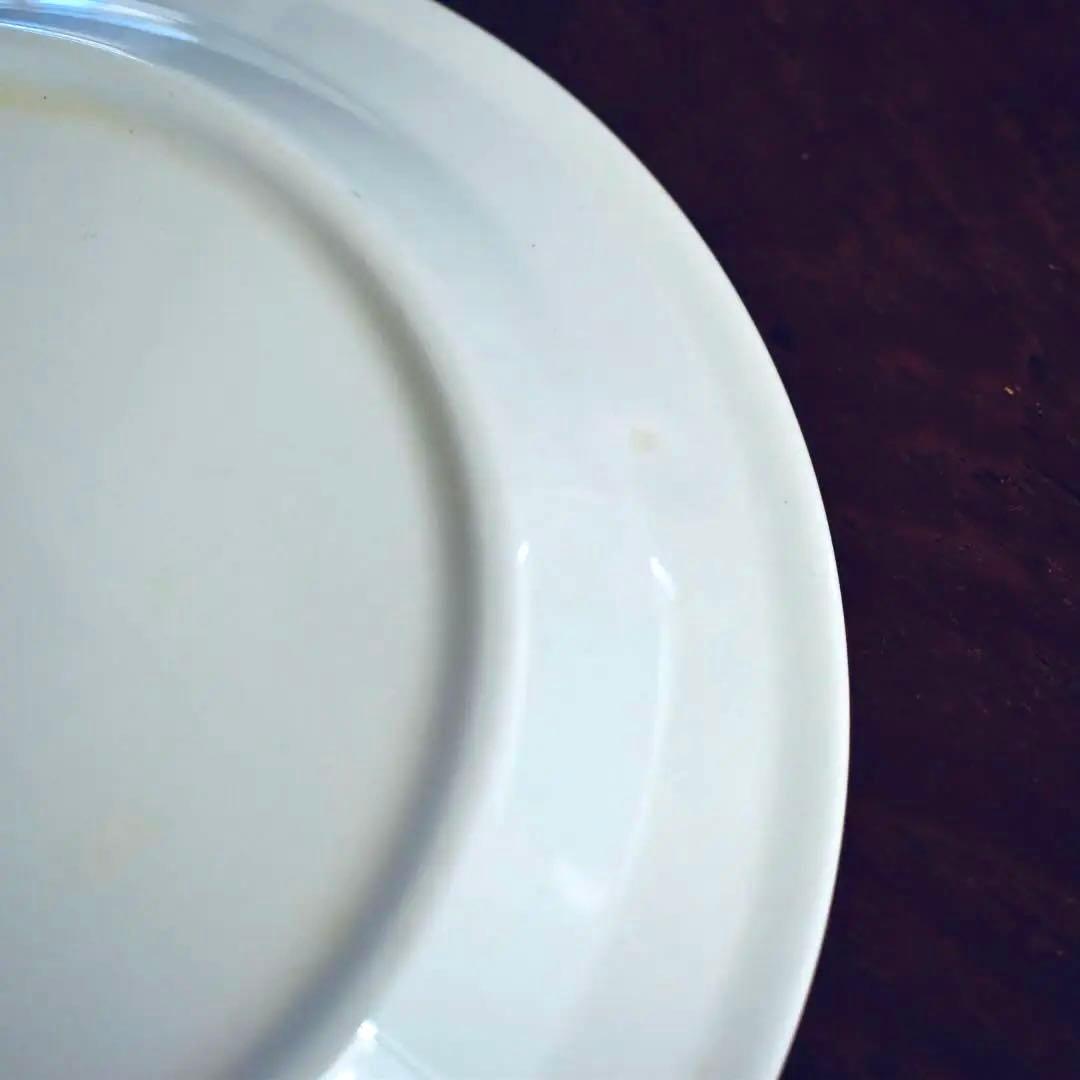 G2: ARABIA Krokus クロッカス グレーリム 17cm 2枚