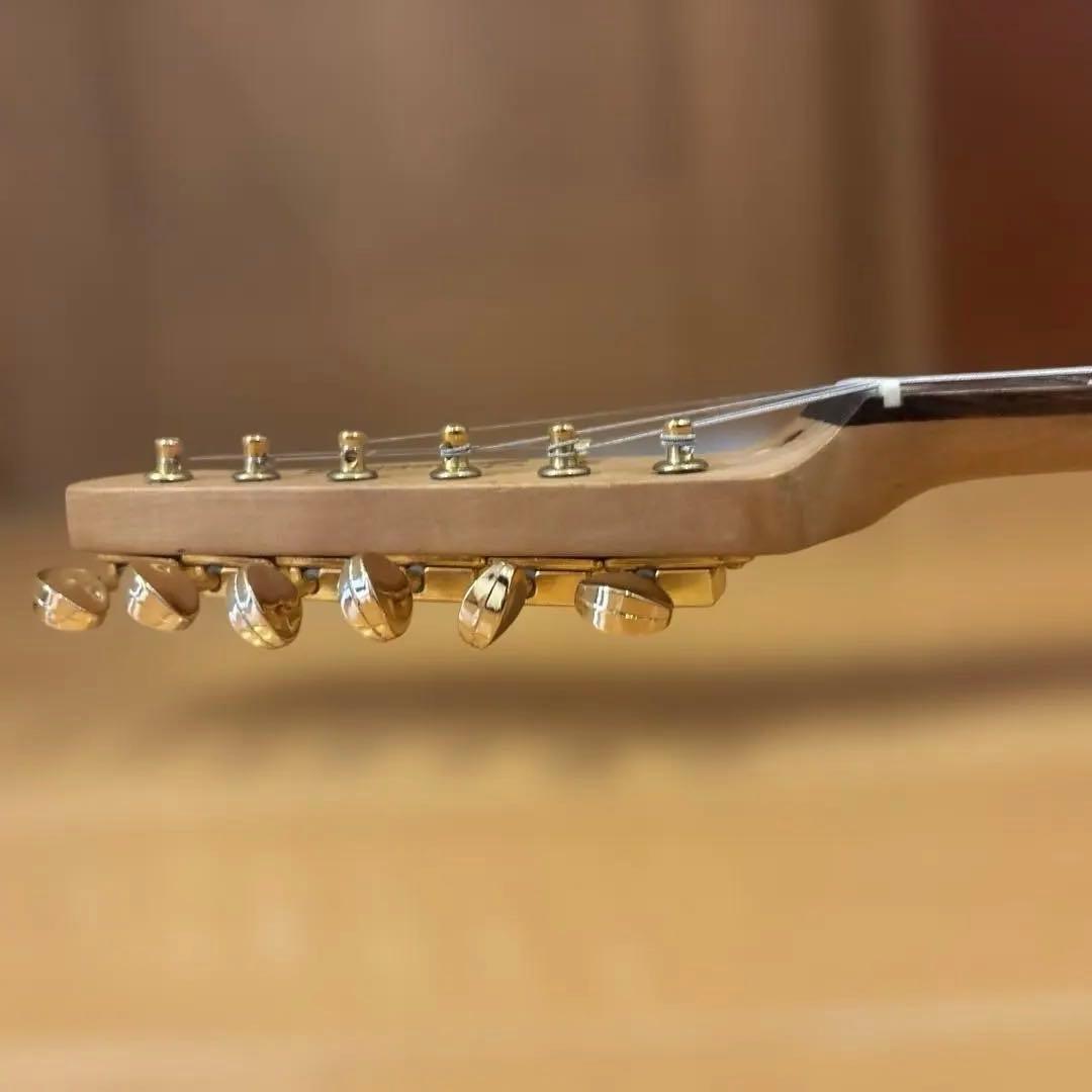 ハルス様専用】Bacchus Universe テレキャス ゴールドパーツ仕様