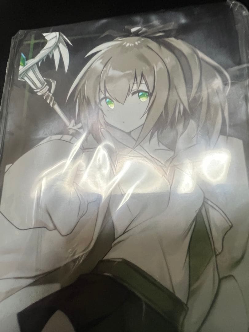 ⭐︎希少⭐︎ 四霊使い スリーブ 4種セット ウィン ヒータ エリア