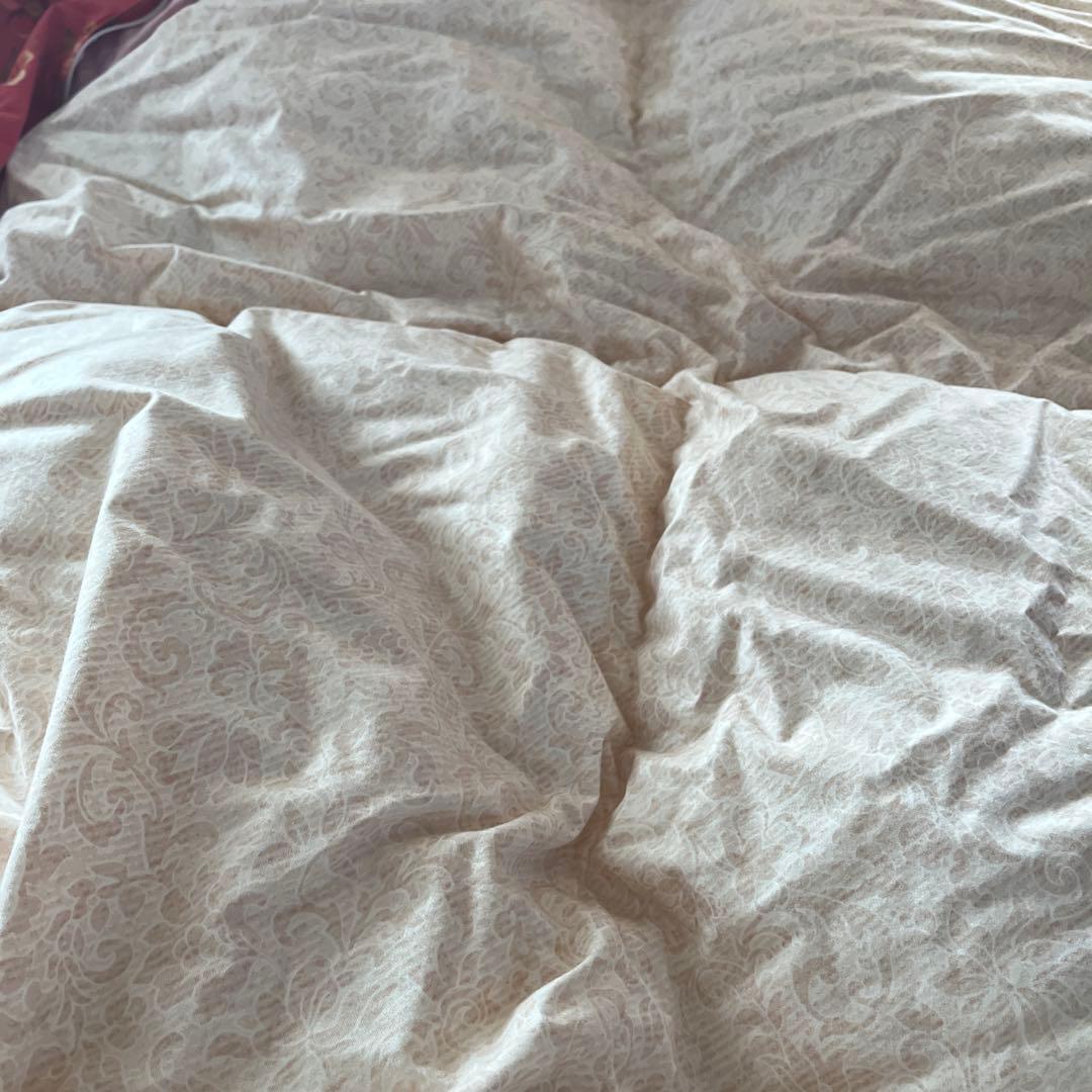 西川　高級羽毛布団　日本製　ホワイトグースダウン90% エコメルカリ便限定