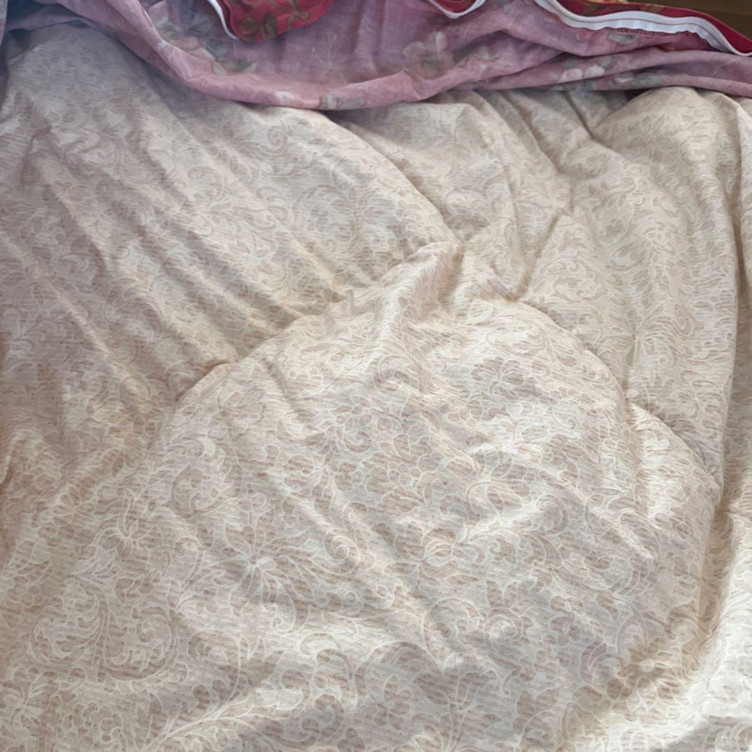 西川　高級羽毛布団　日本製　ホワイトグースダウン90% エコメルカリ便限定