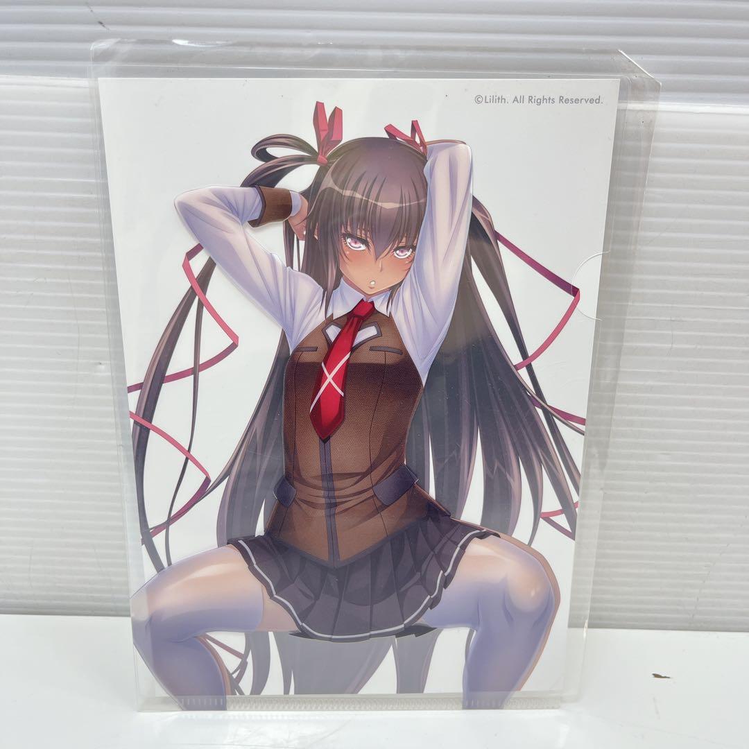 CH2582 対魔忍 ユキカゼ&アサギ　ミニクリアファイルセット