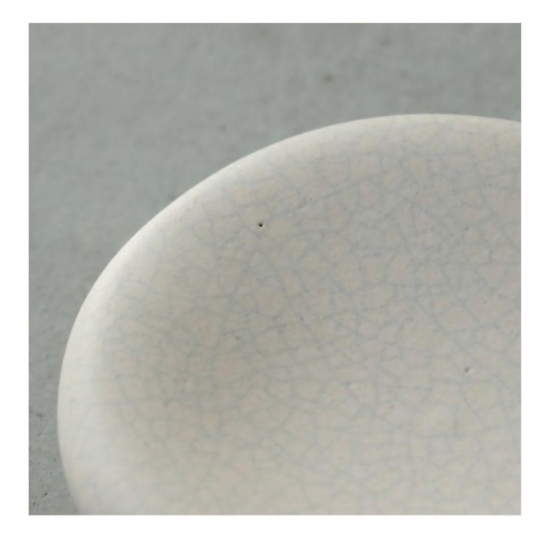 mushimegane books　熊淵未紗　poku　ムシメガネブックス