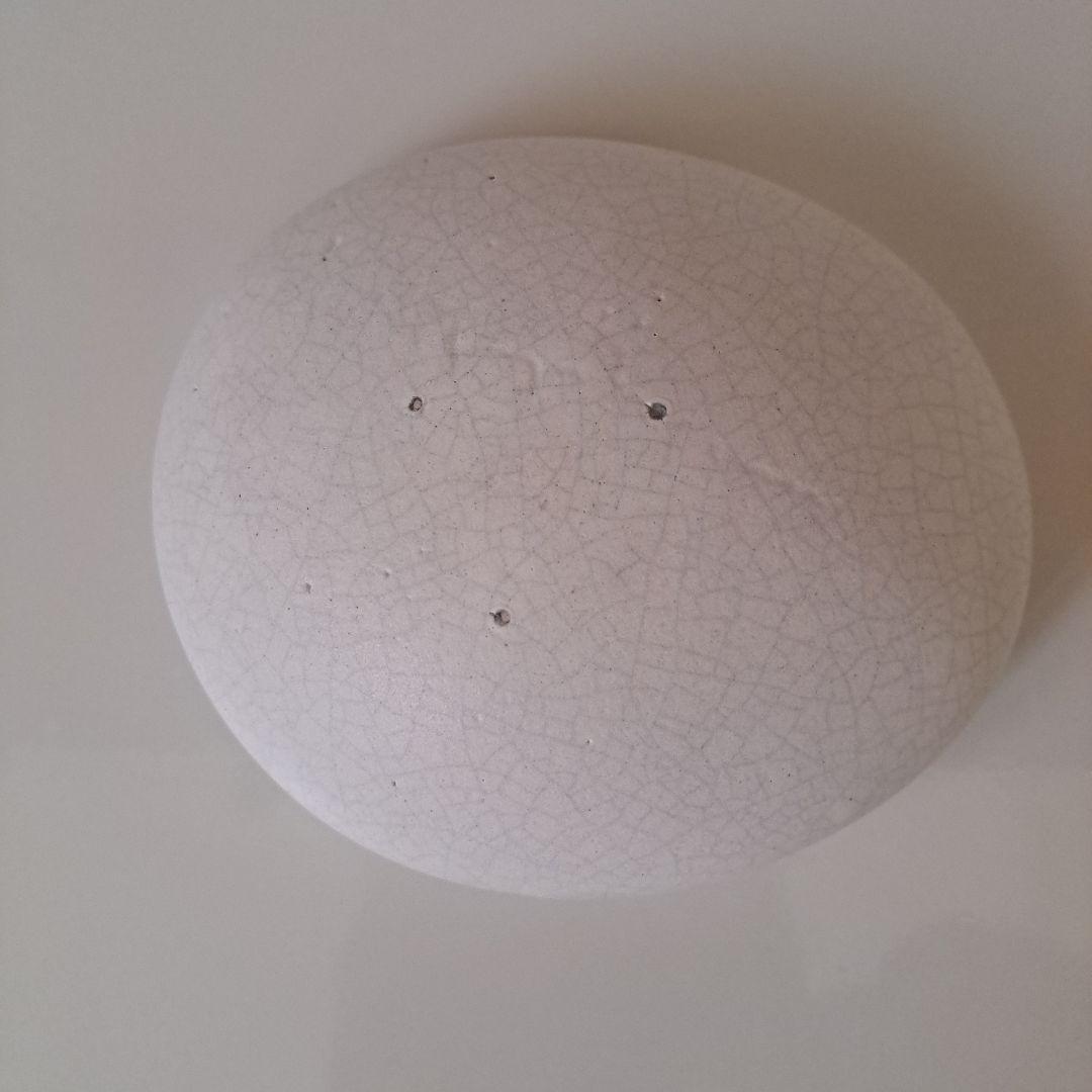 mushimegane books　熊淵未紗　poku　ムシメガネブックス