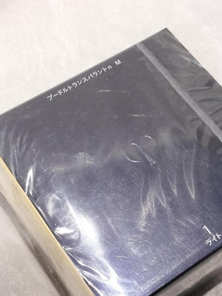 クレドポーボーテ　プードルトランスパラントｎ Ｍ　１ライト　本体ケース付