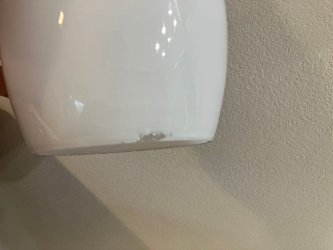 電笠　照明　シェード　ランプ　レトロ　アンティーク　骨董　古道具　大正