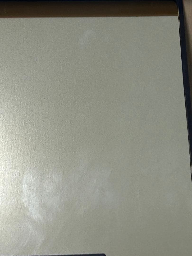 希少　シシリーメアリーバーカー　フラワーフェアリーズ　森の妖精　ミラー