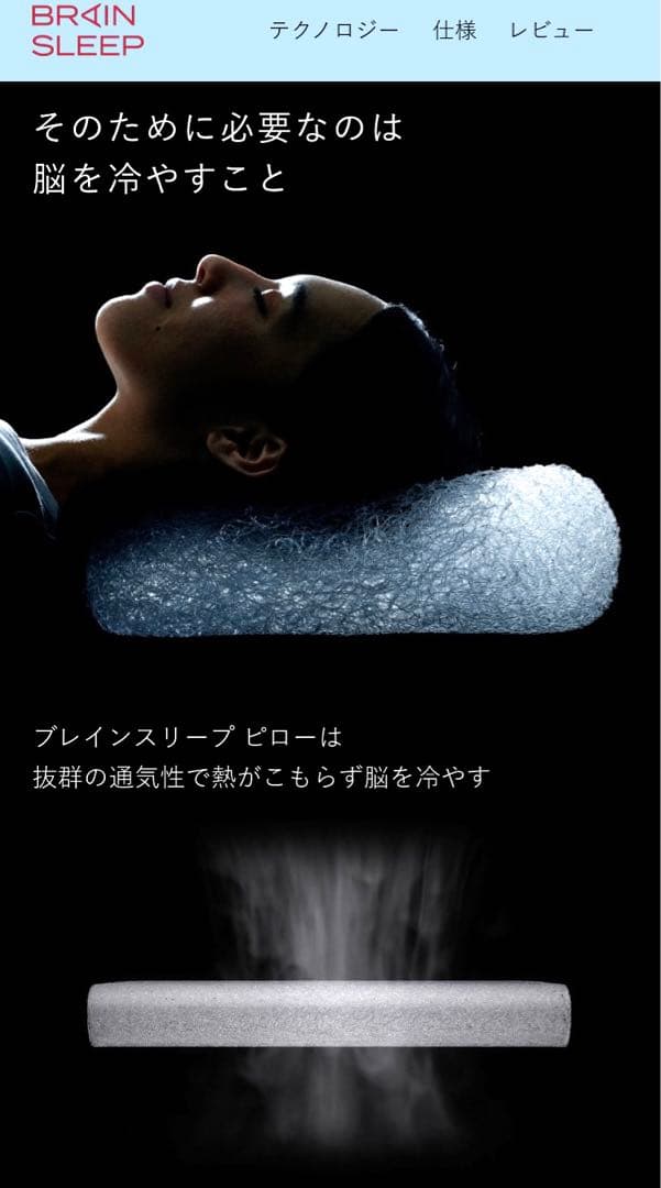 新品　ブレインスリープピロー　スタンダード　カバーセット