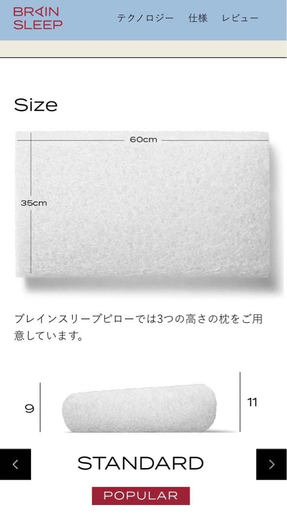 新品　ブレインスリープピロー　スタンダード　カバーセット
