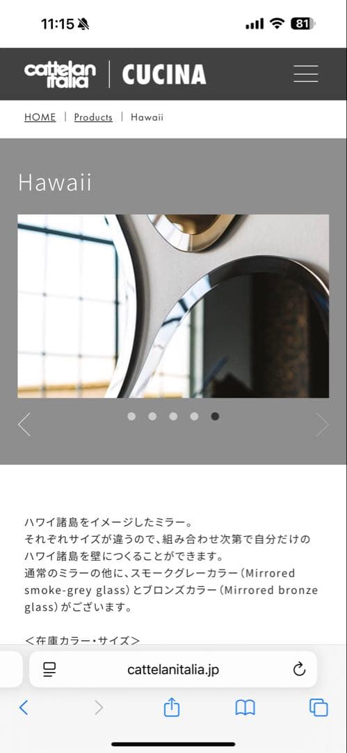 期間限定！引越し直前値下げ激レア　カッテランイタリア　ハワイ　ミラー