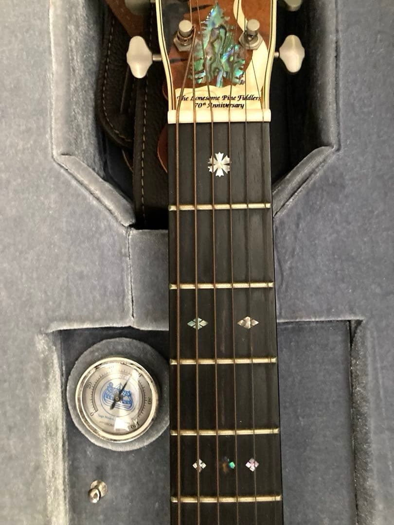 超レア、ヴィンテージギター ブルーリッジの限定モデル「BR-2060」価値