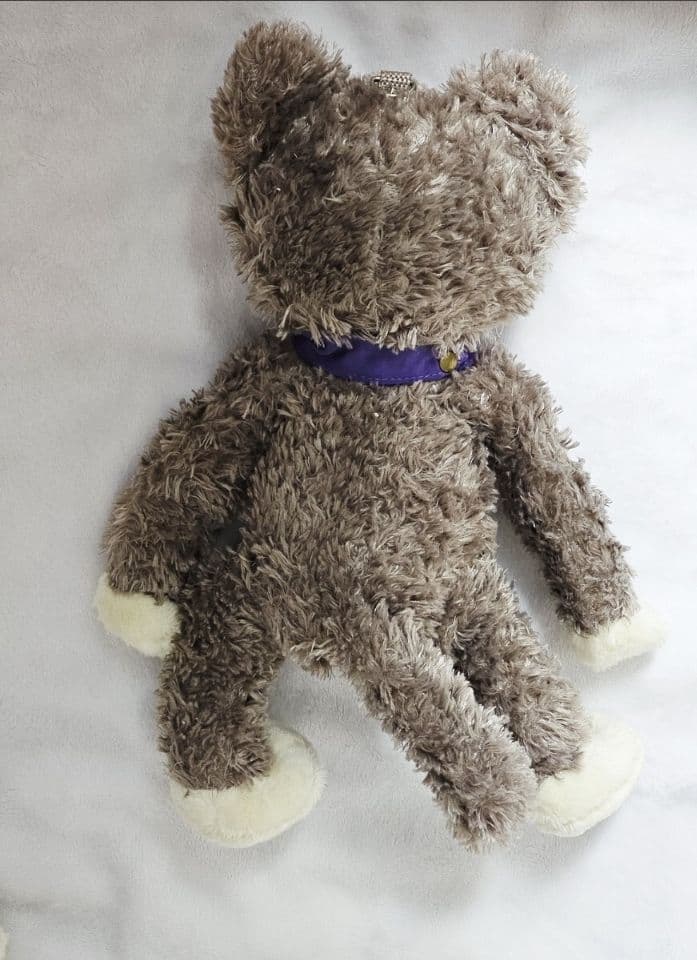 アメジス 骨組みなし 骨組あり 2点セット 鳳瑛二 うたプリ プリキャ