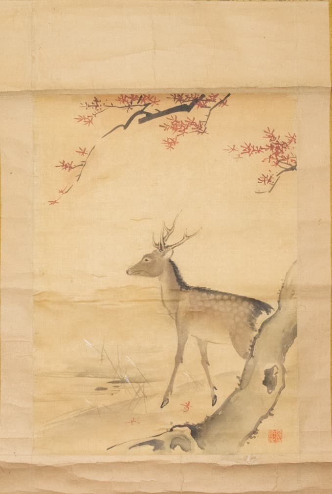 森寛斎 紅葉に鹿 掛軸 古画 和風インテリア 絵画 日本画 水墨画 - メルカリ